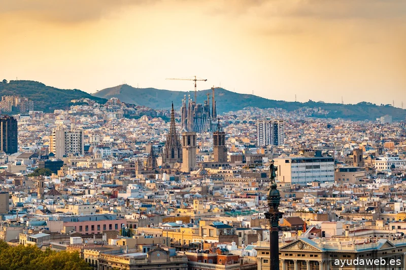 Pimienta Digital Agency