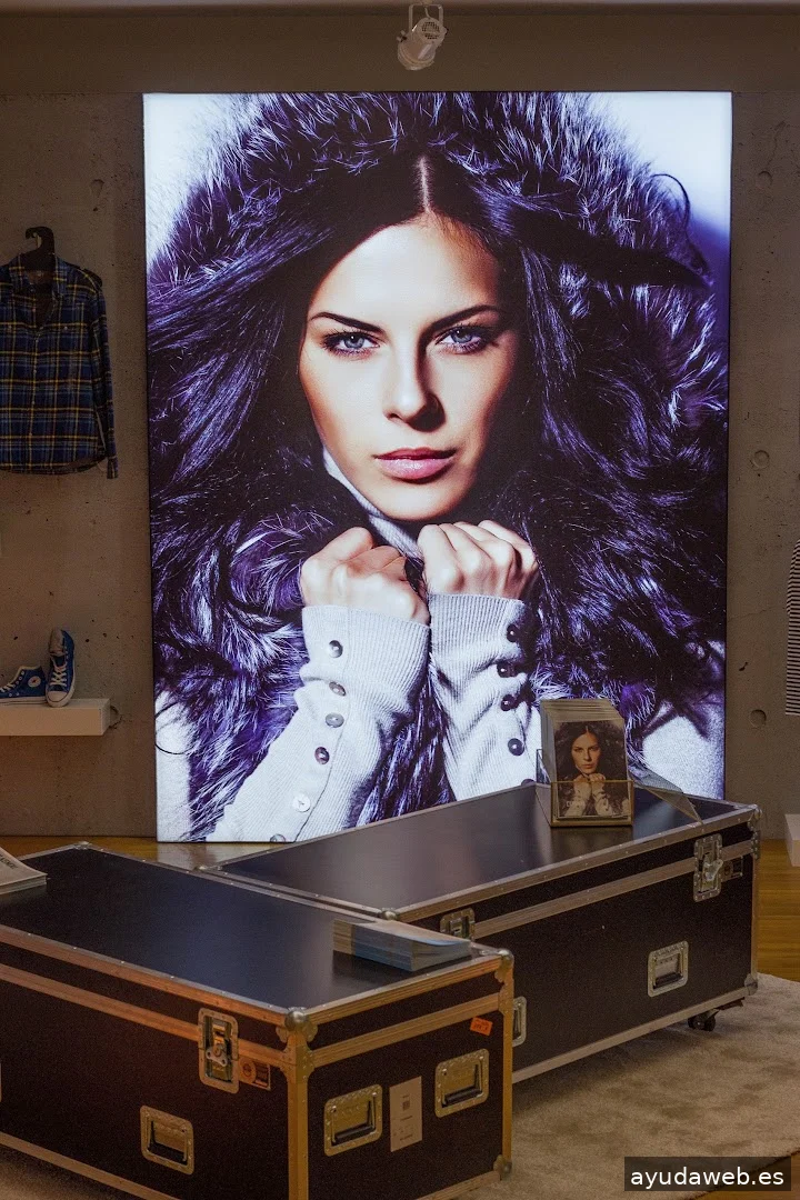 Kendu In-Store Visual Solutions