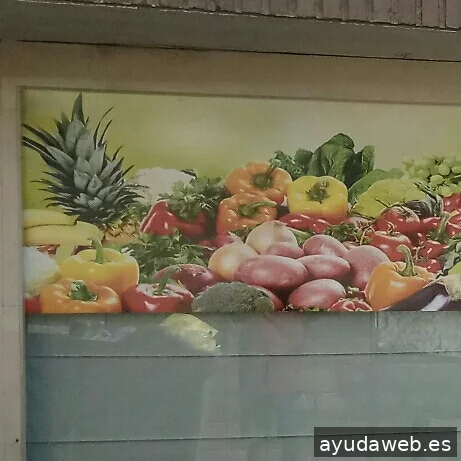 WEB CREATIVO Agencia de Marketing Digital