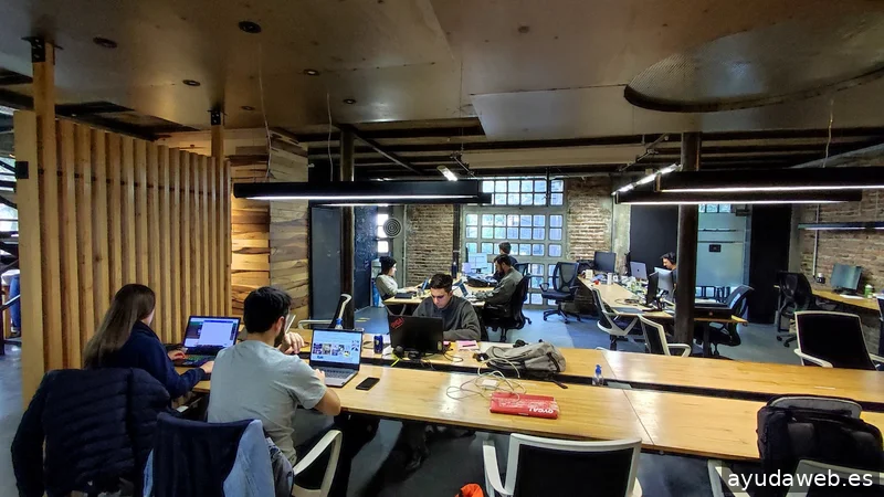 Videos Animados Explicativos Para Empresas en Barcelona: Agencia Oso Gordo Lab