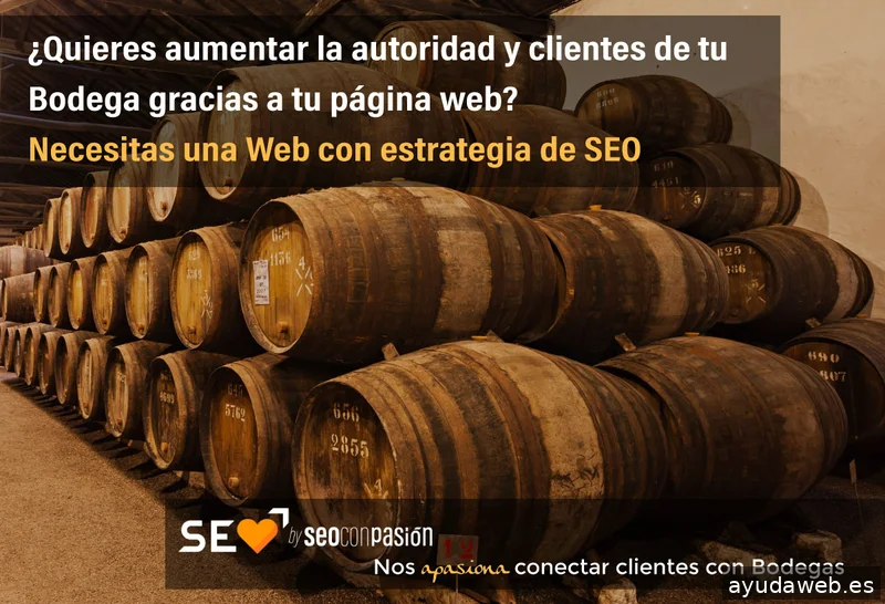 SEO con Pasión I Expertos en Diseño Web SEO