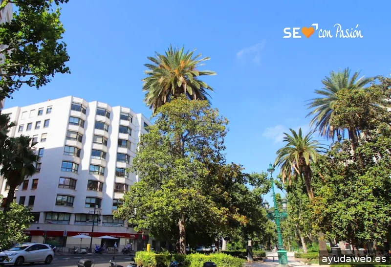 SEO con Pasión I Expertos en Diseño Web SEO