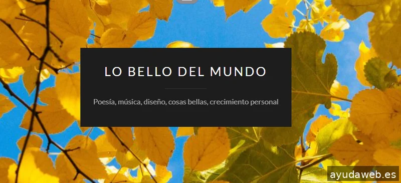 Virginia Martínez Puerta