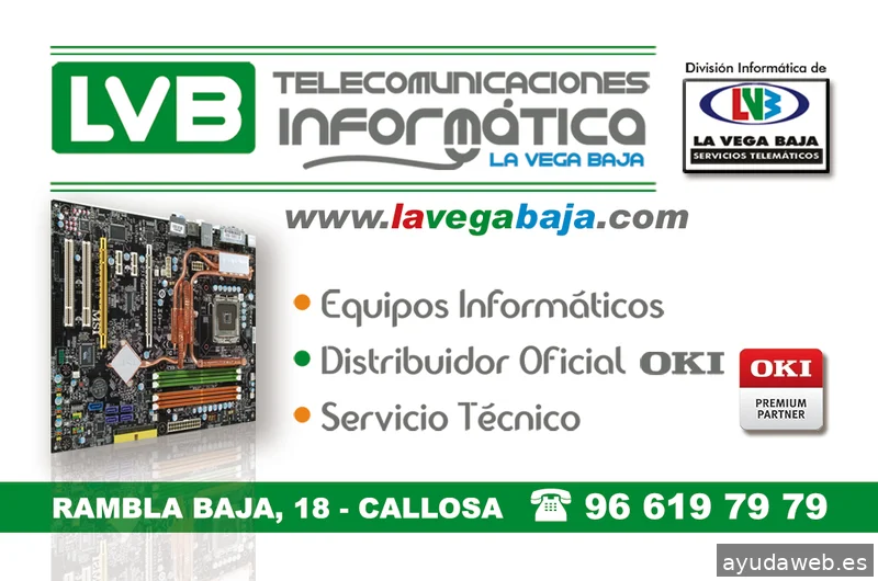 La Vega Baja Servicios Telemáticos SL