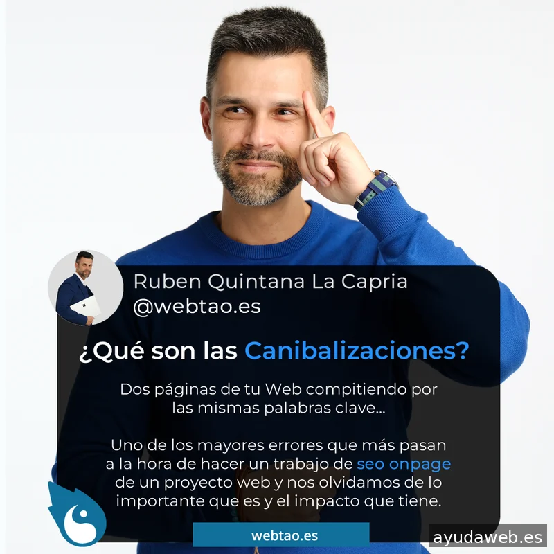 WebTao | Agencia SEO Las Palmas