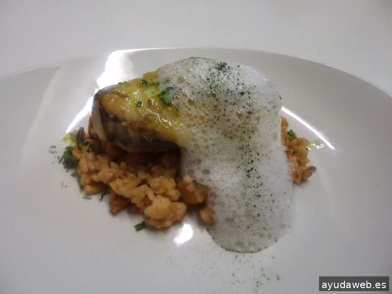 GASTRONOMIA TURISMO.com - GASTROTUR