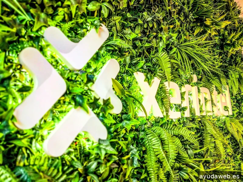 Xerintel, líderes en desarrollo app y web en España