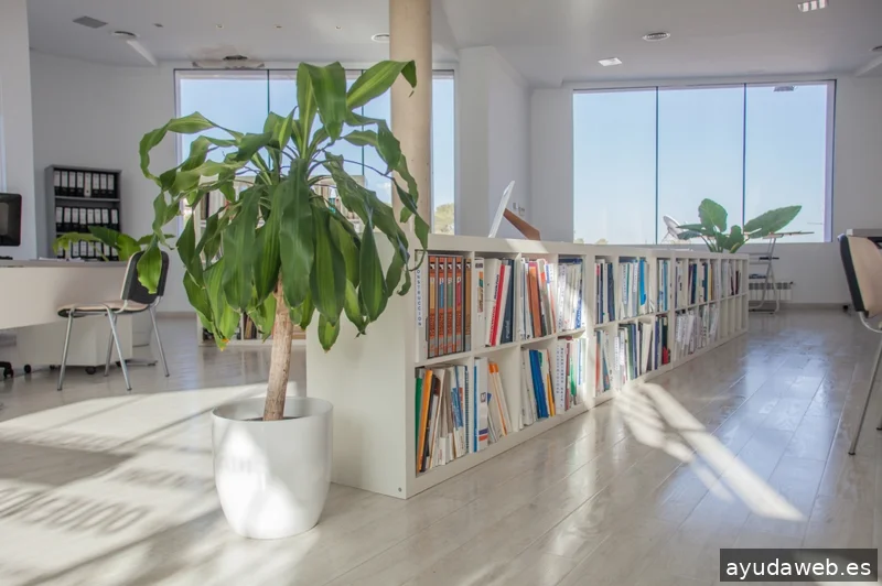 Intelagencia Publicidad