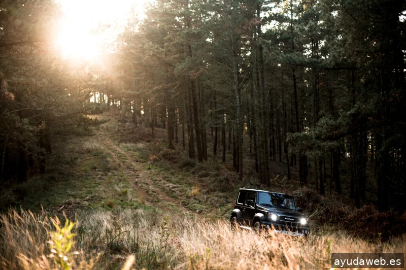 Intelagencia Publicidad