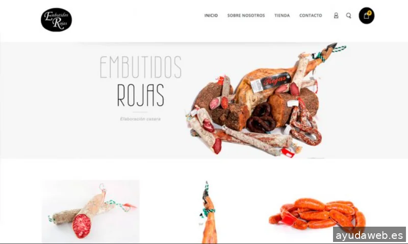 Sarpanet Soluciones Web