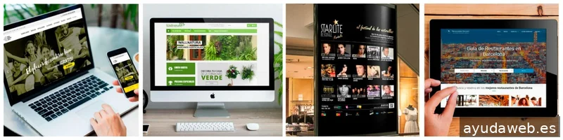 Sayad Plaja | Diseño Web, Posicionamiento SEO, Diseño Gráfico