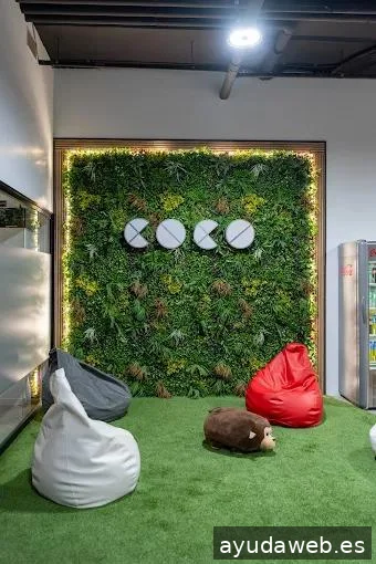 Coco Solution Agencia de Marketing Digital