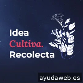 Secadero Estudio Creativo
