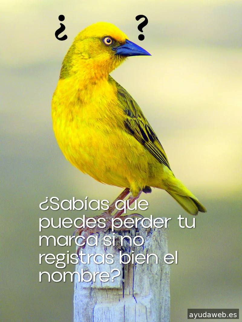 Diseño Gráfico en Getafe / Myssya Friendly Design