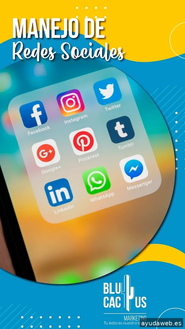 BluCactus Agencia Marketing Digital Madrid