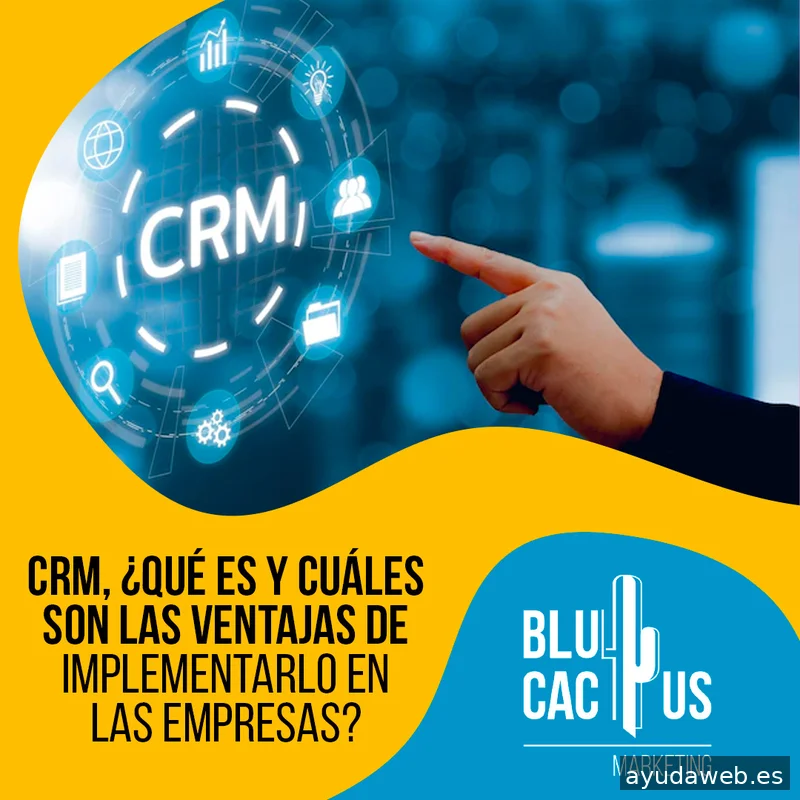 BluCactus Agencia Marketing Digital Madrid