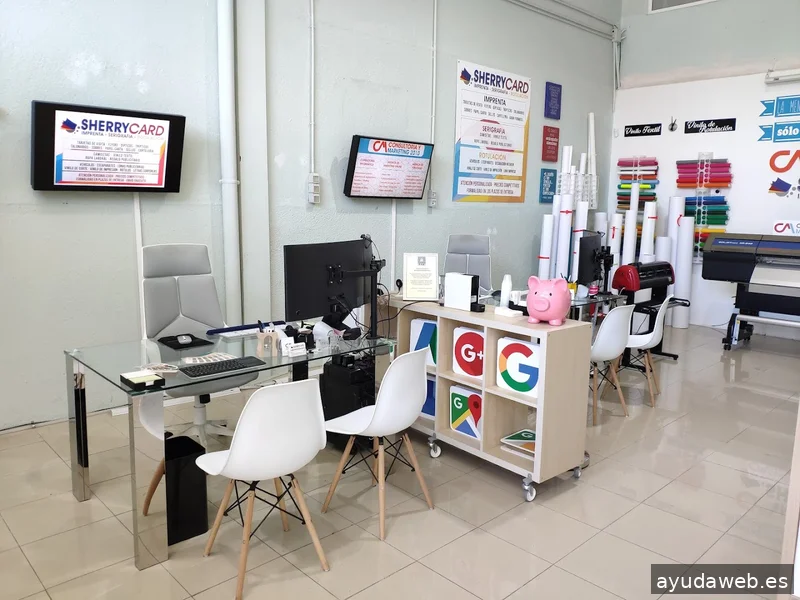 Consultoría y Marketing 2010