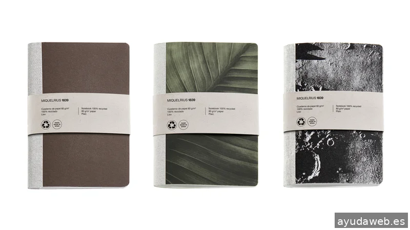 Nomon Design, Brand Design Agency