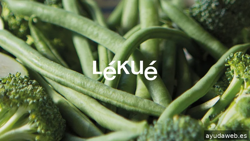 Nomon Design, Brand Design Agency