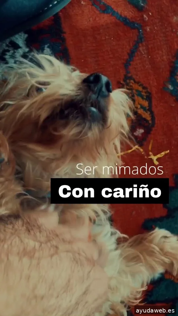 Post & Beat | Inteligencia Artificial, Marketing y Automatización para empresas y negocios.