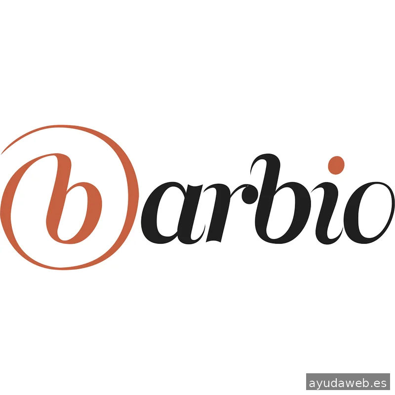 Barbio, Web & App Consulting