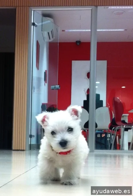 ALTA MARKETING, S.L.