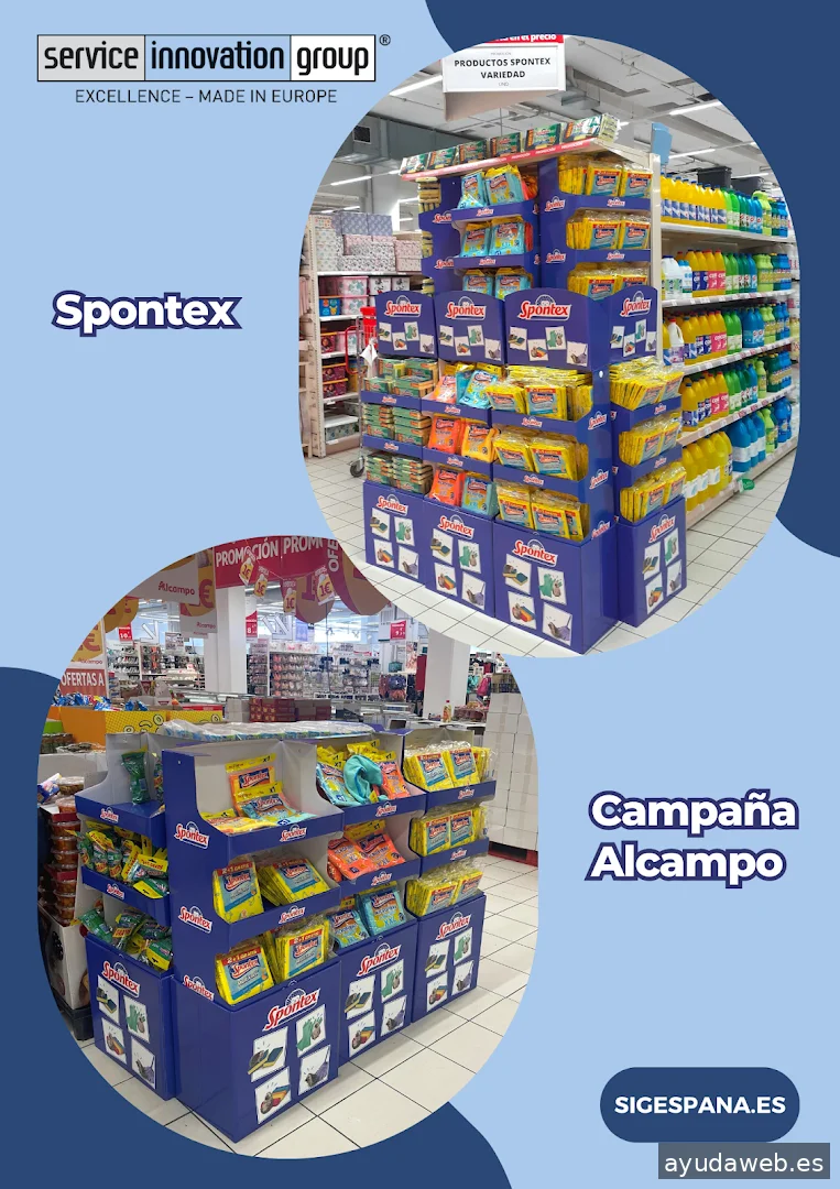 Service Innovation Group España