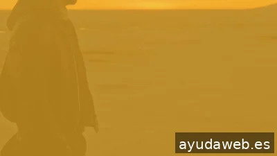 Consultor SEO Barcelona | renpo