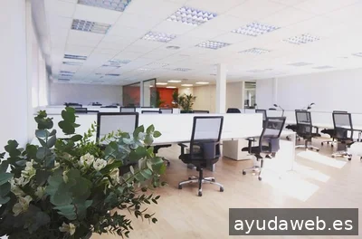 Seposiciona - Agencia Marketing Online