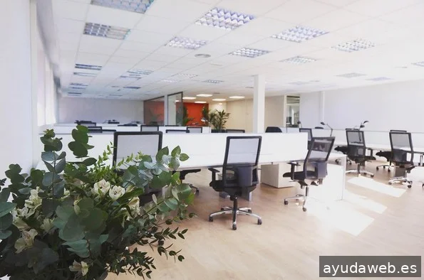 Seposiciona - Agencia Marketing Online