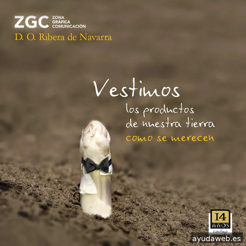 ZONA GRÁFICA Comunicación