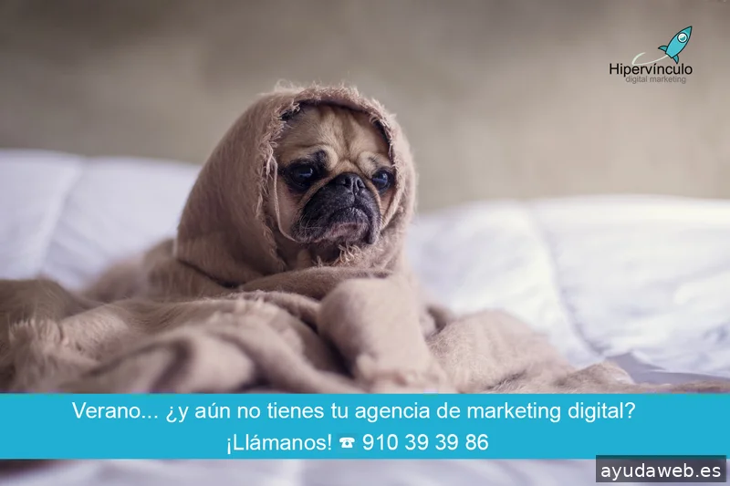 Hipervínculo Digital Marketing