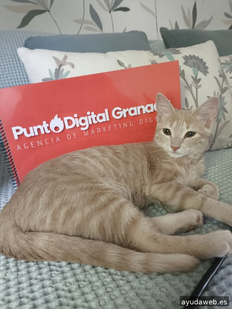 PuntoDigital Granada