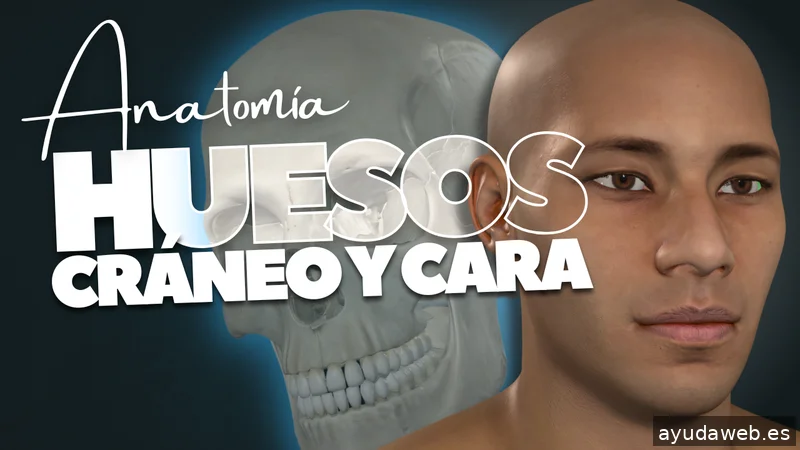 PuntoDigital Granada