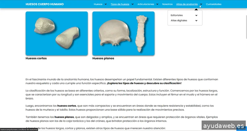 PuntoDigital Granada