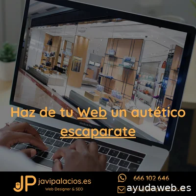 Javi Palacios Diseñador Web
